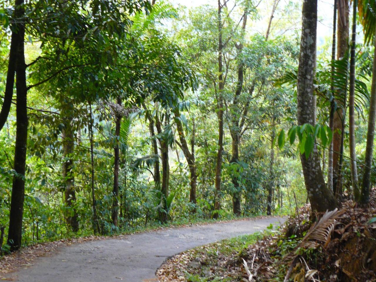 White Villa Kitulgala Buitenkant foto