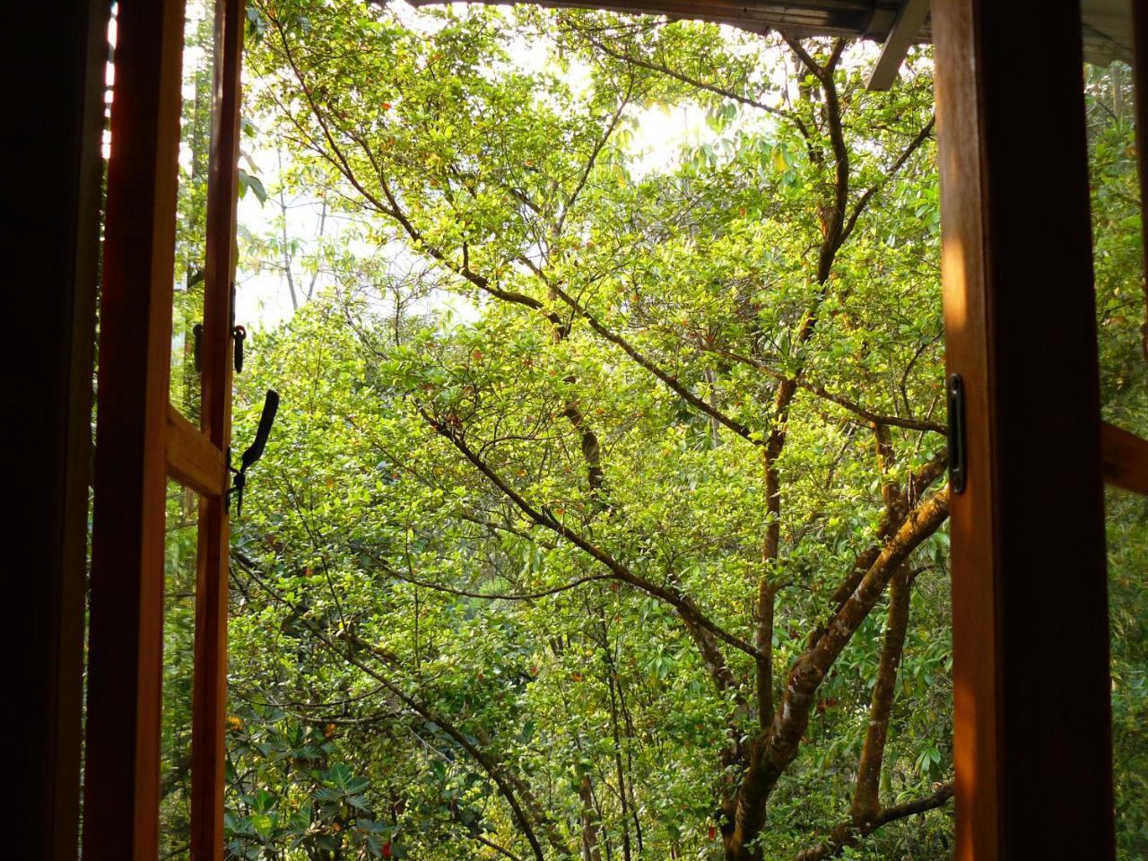 White Villa Kitulgala Buitenkant foto